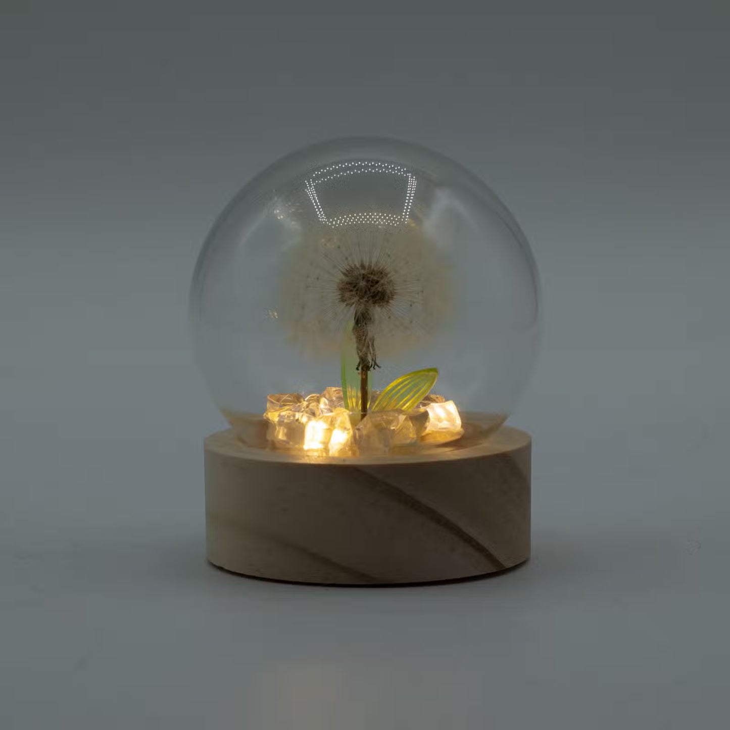 Floral Glow Garden Domes