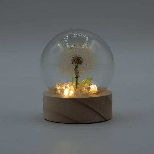 Floral Glow Garden Domes