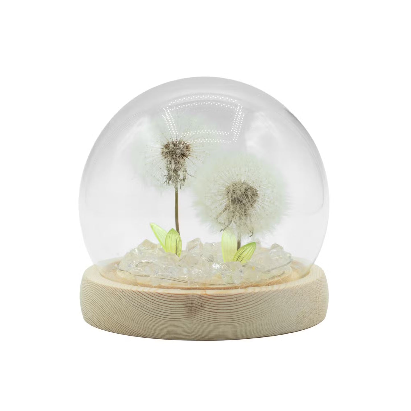 Floral Glow Garden Domes