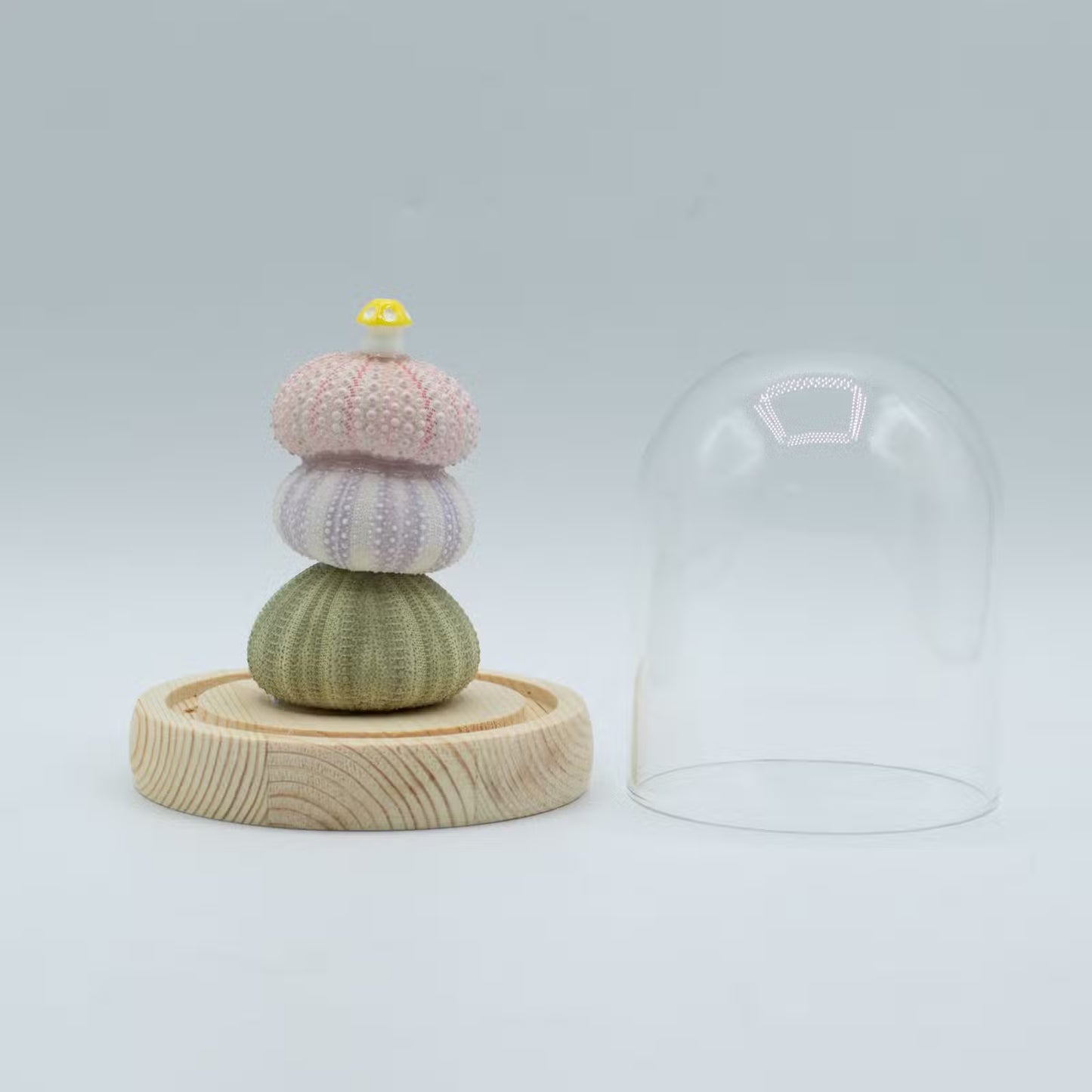 Floral Glow Garden Domes