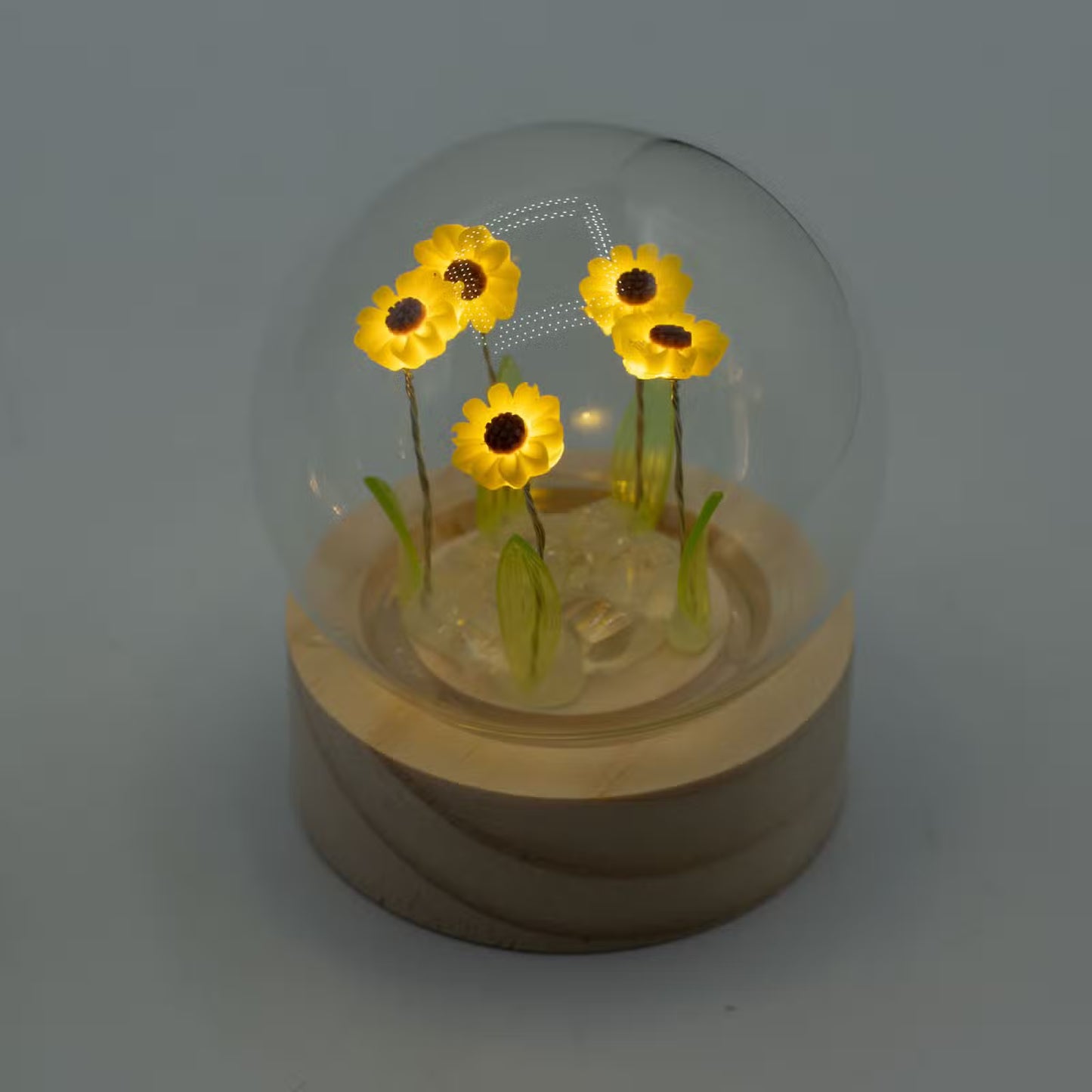Floral Glow Garden Domes