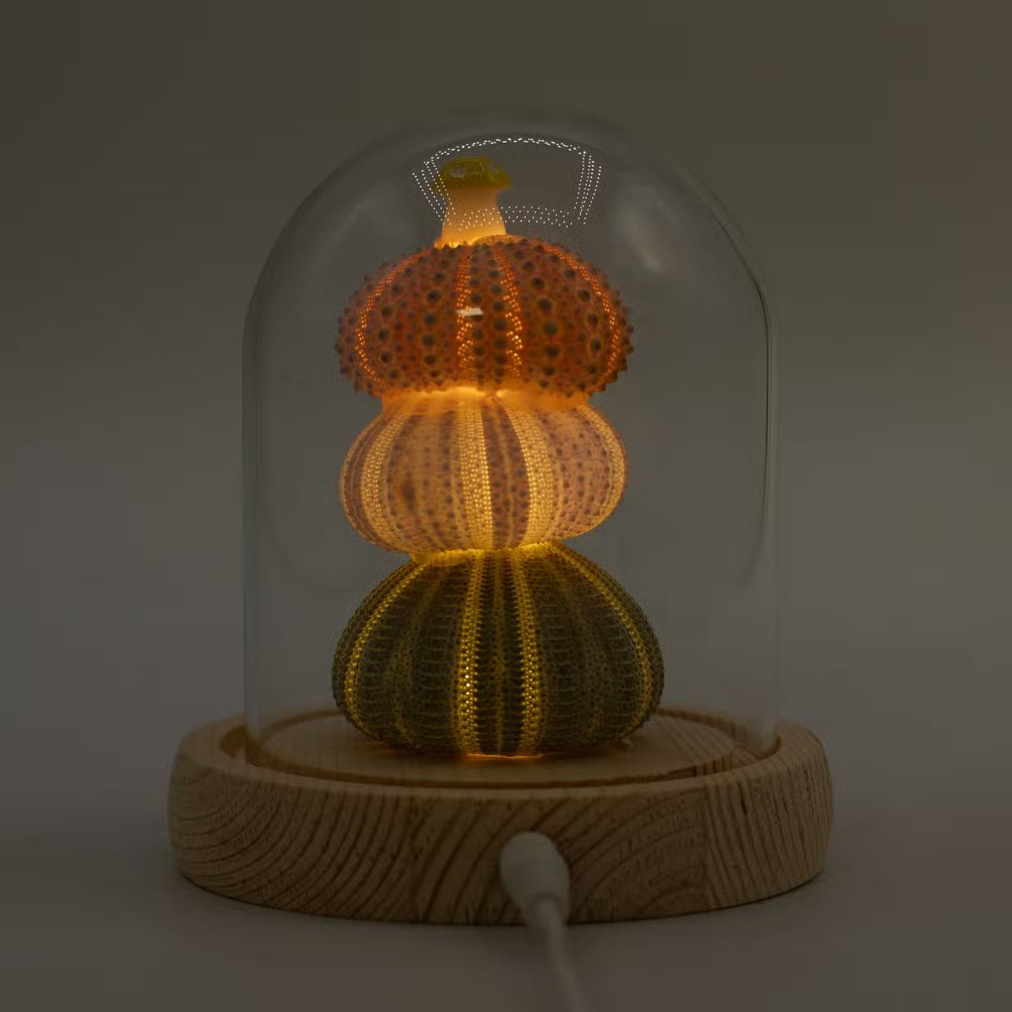 Floral Glow Garden Domes
