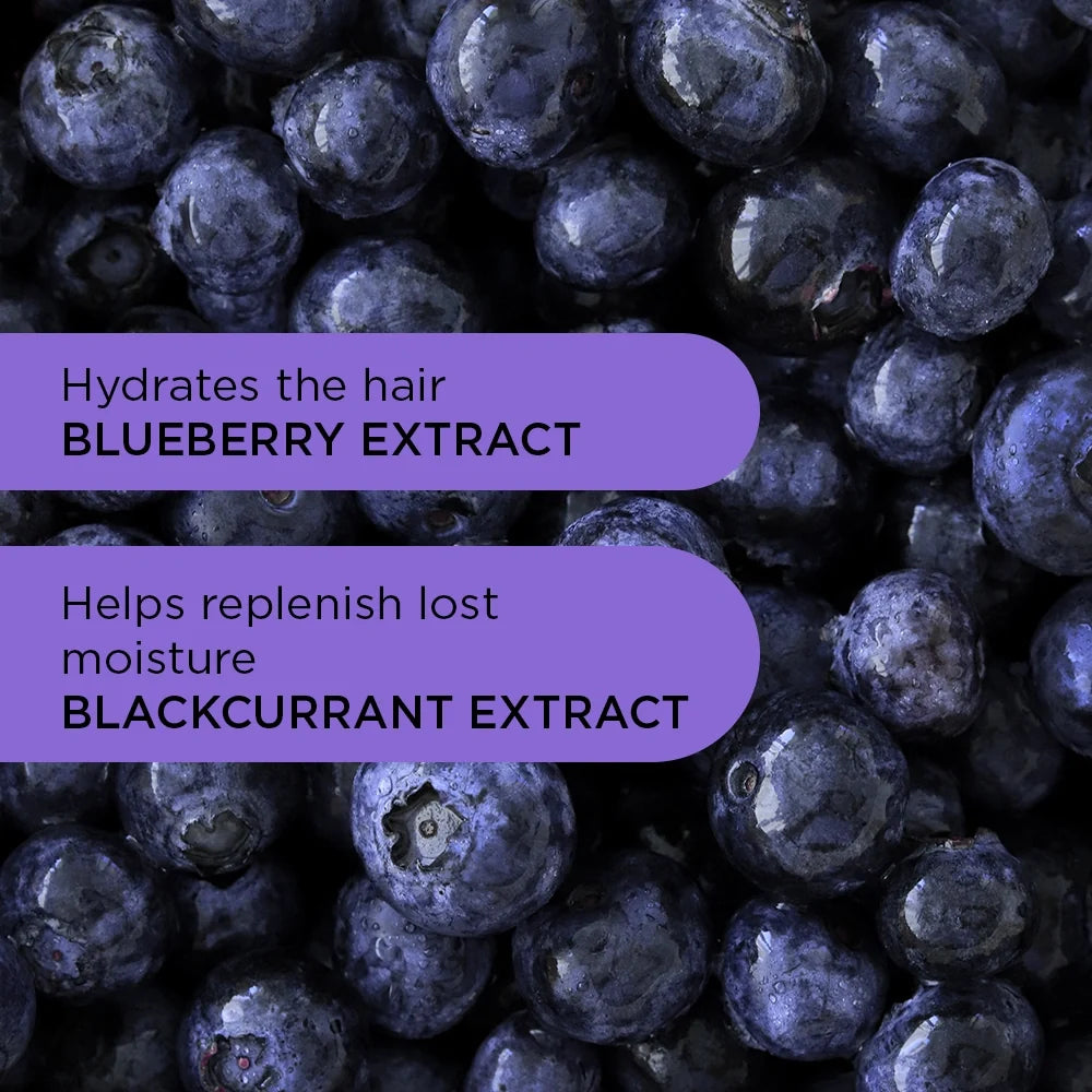 Purple Reign Conditioner - 250ml