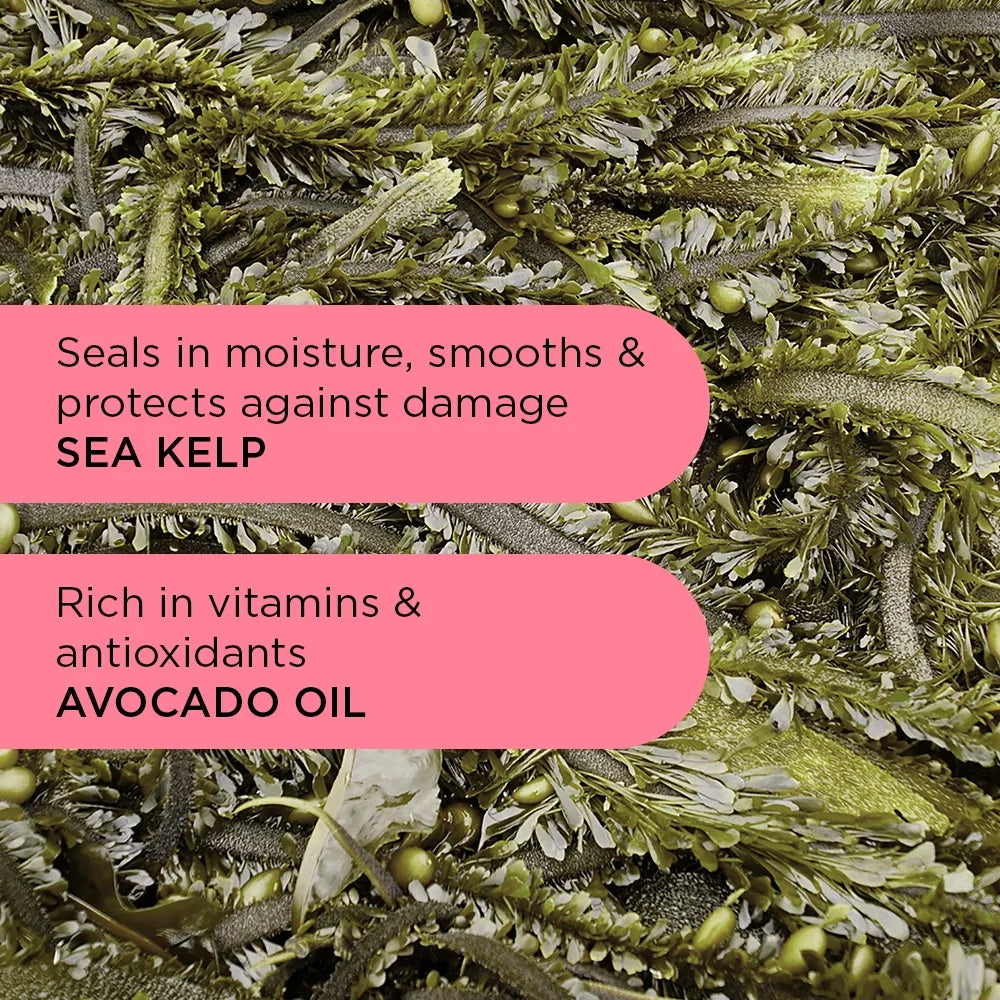 Wave Hello Curl Defining Shampoo