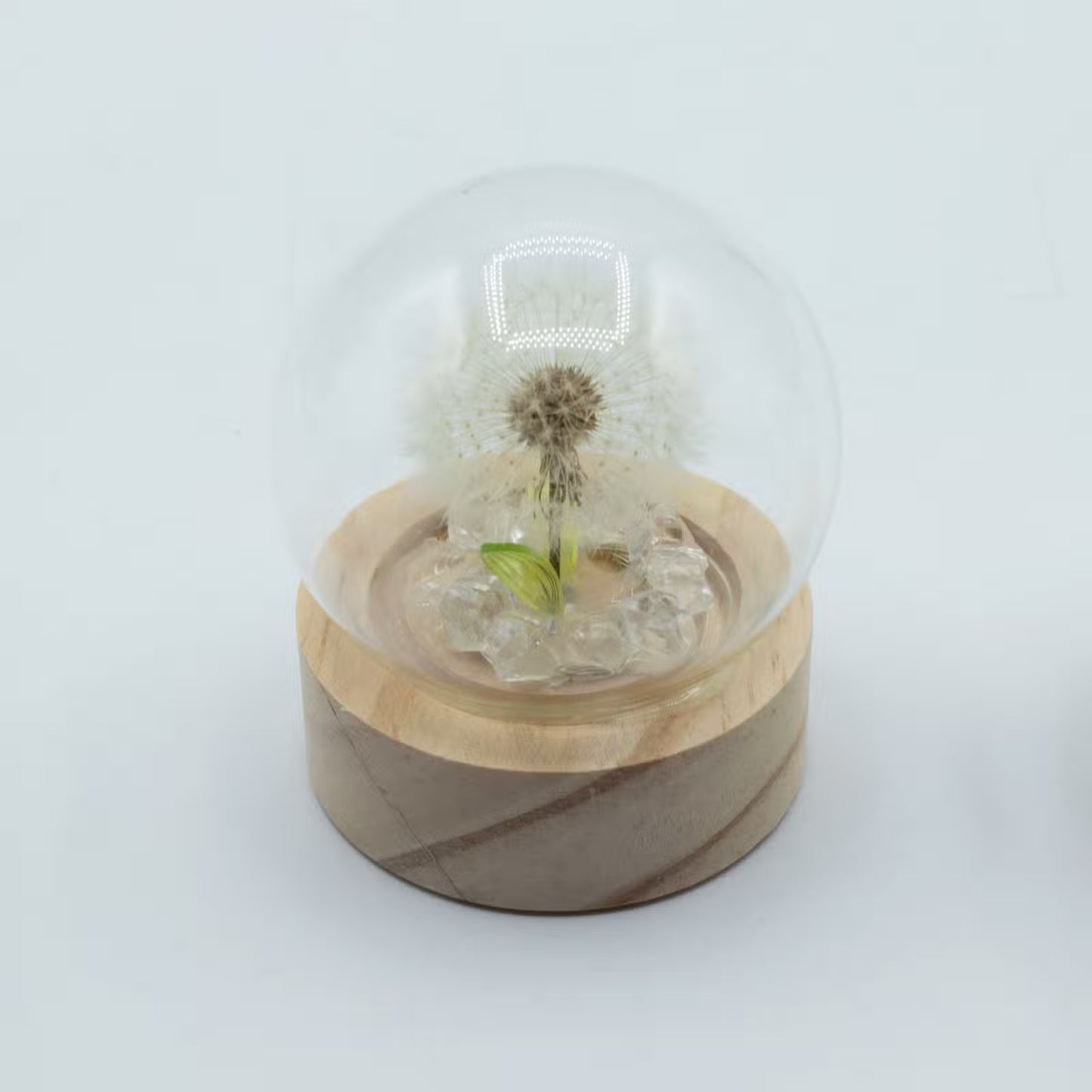Floral Glow Garden Domes