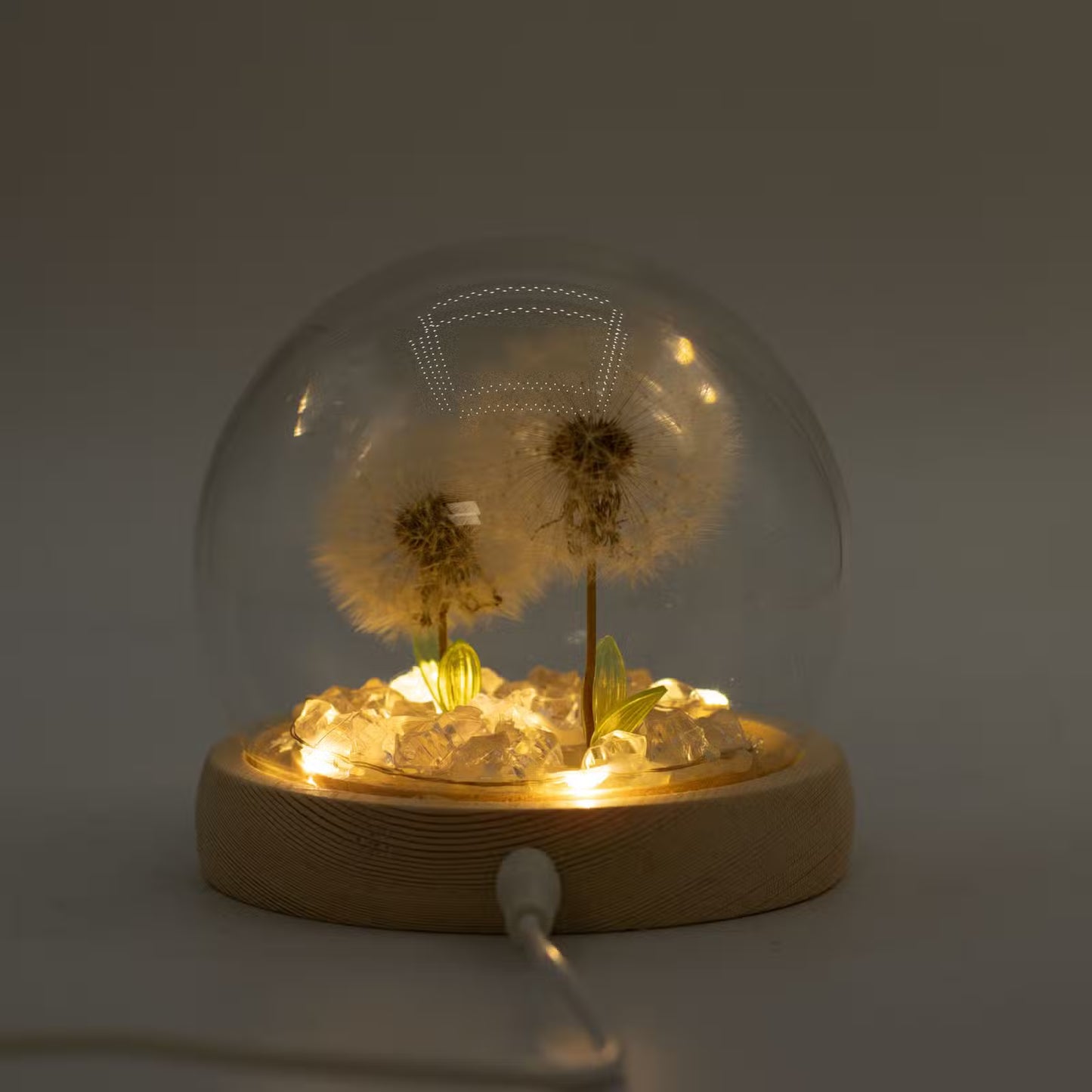 Floral Glow Garden Domes