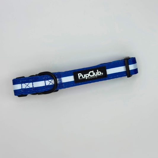 Collar - Royal Blue