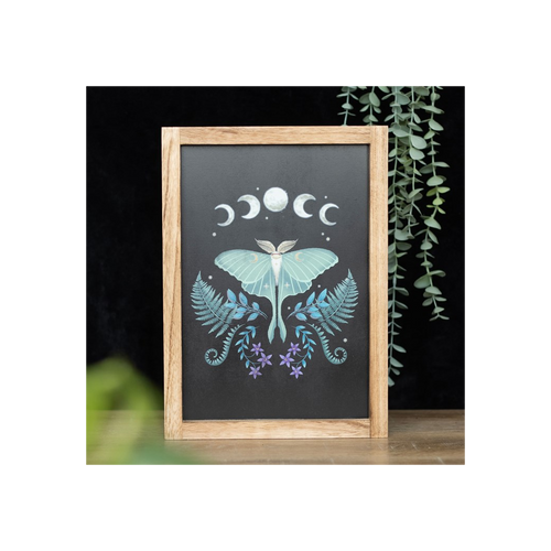 Luna Moth Framed Wall Art Print