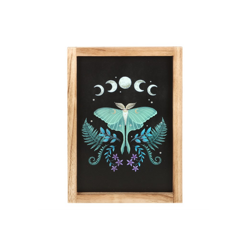 Luna Moth Framed Wall Art Print