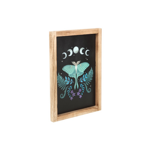 Luna Moth Framed Wall Art Print