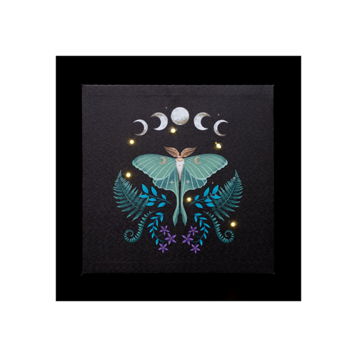 Luna Moth Light Up Canvas Plaque