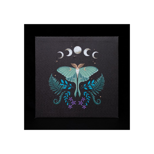 Luna Moth Light Up Canvas Plaque