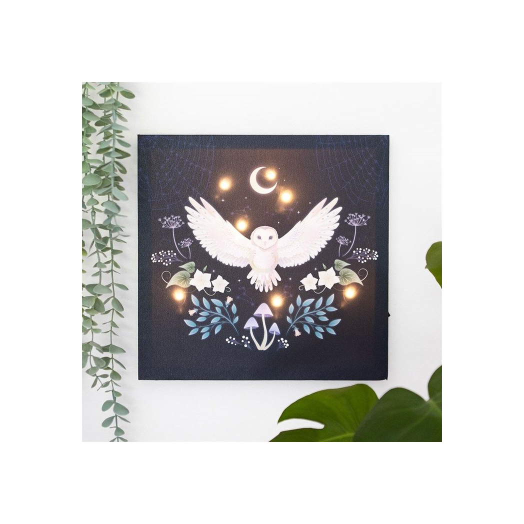 Night Owl Light Up Canvas Plaque