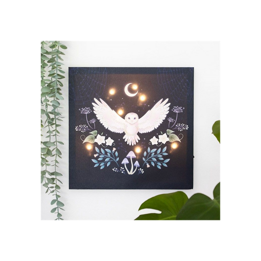 Night Owl Light Up Canvas Plaque