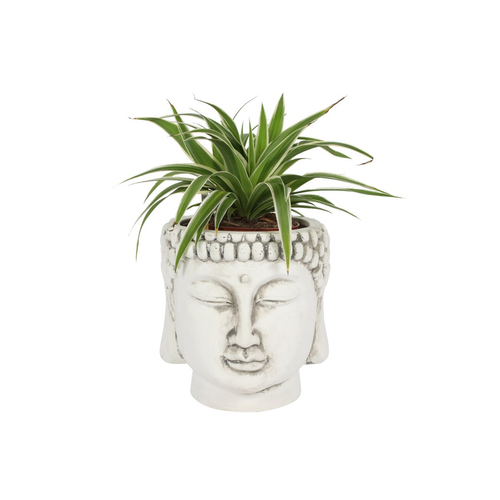 White Terracotta Buddha Head Planter