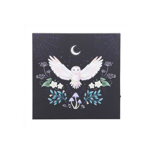 Night Owl Light Up Canvas Plaque