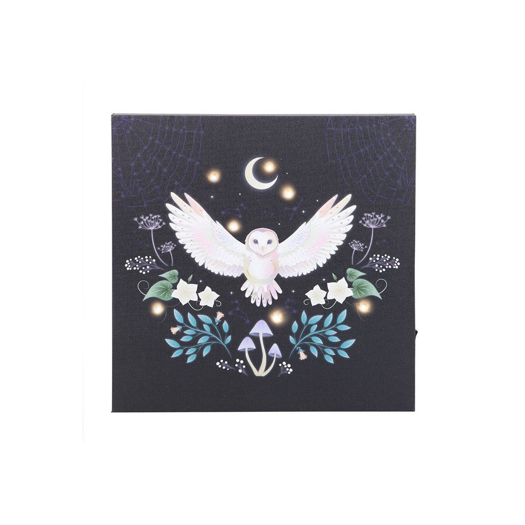 Night Owl Light Up Canvas Plaque