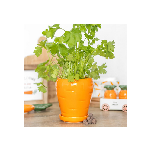Carrot Shaped Plant Pot with Parsley Seed Balls