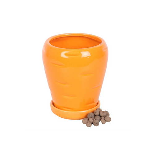 Carrot Shaped Plant Pot with Parsley Seed Balls