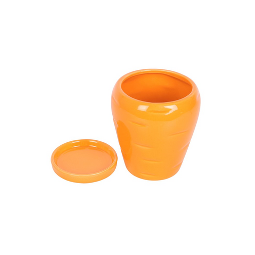 Carrot Shaped Plant Pot with Parsley Seed Balls