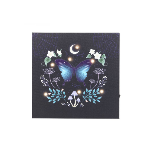 Midnight Moth Light Up Canvas Plaque