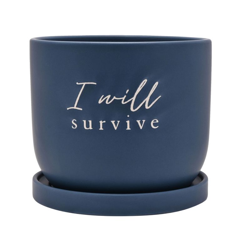 Country Living Ceramic Plant Pot - "I Will Survive"