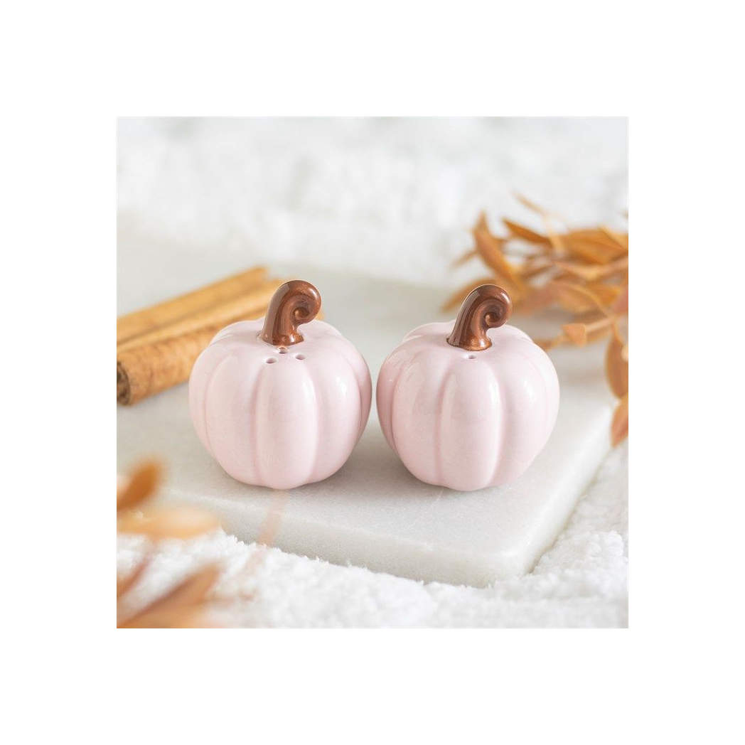 Pink Curly Pumpkin salt and Pepper shakers