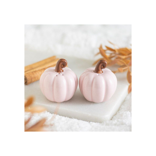 Pink Curly Pumpkin salt and Pepper shakers