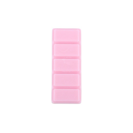 Snow Pixie Wax Melt Bar
