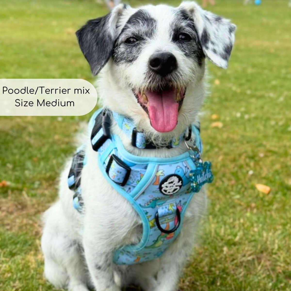 Rugged Rover™ Harness - Jurassic Party