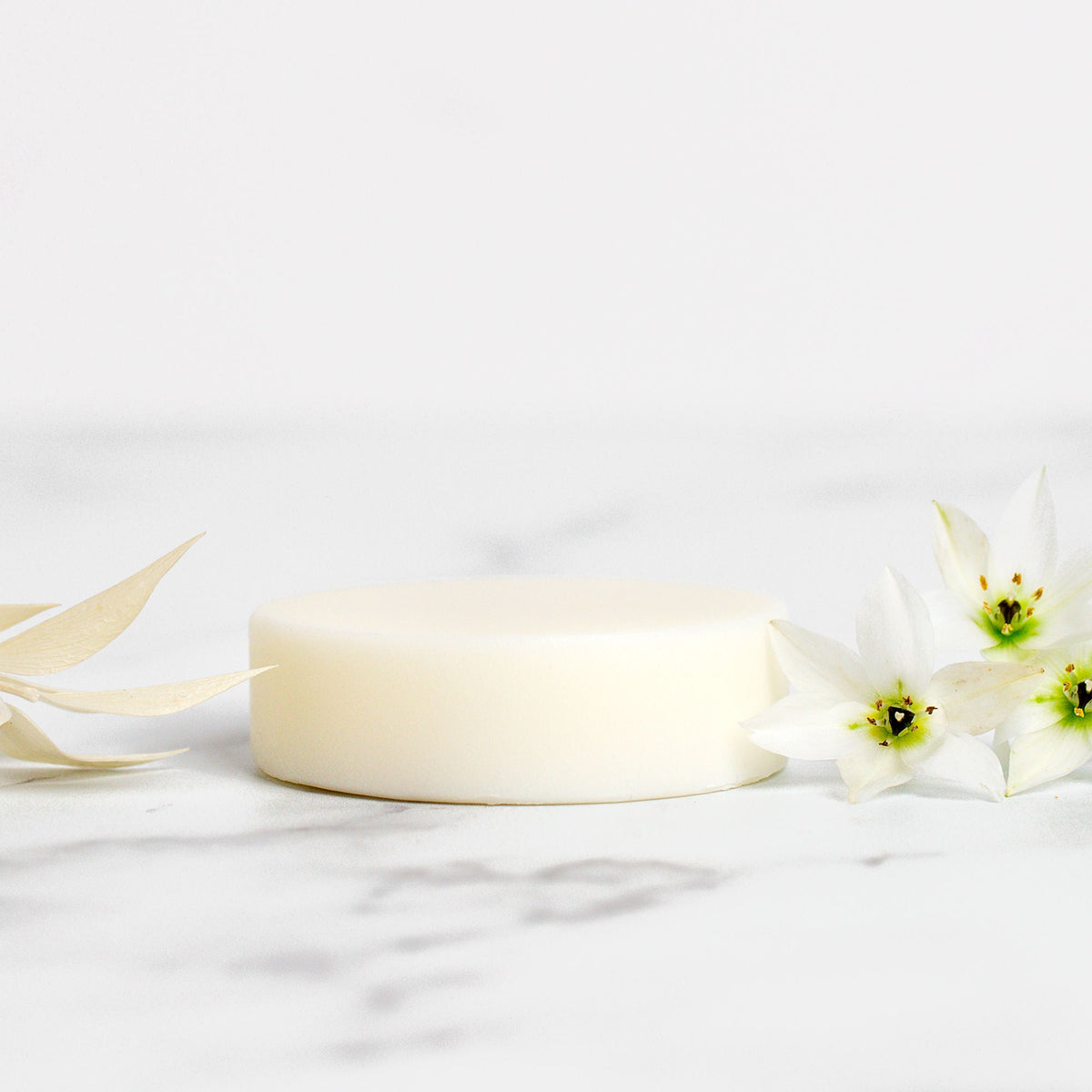 Shine On Conditioner Bar - Vegan